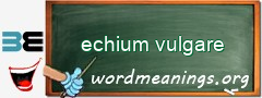 WordMeaning blackboard for echium vulgare